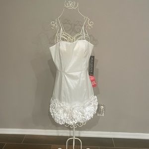 This is a cute short  dress.  Be the bell of the ball.